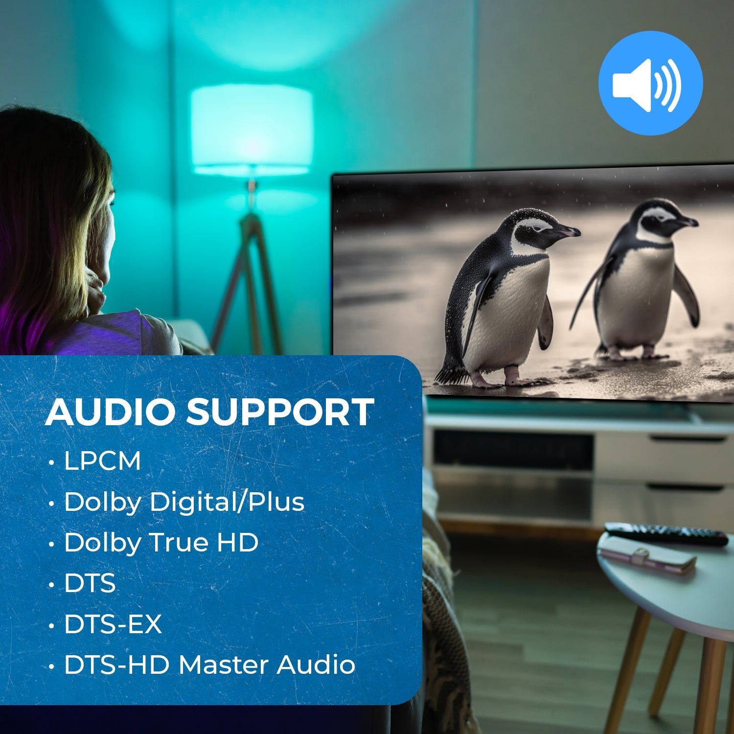 8K 2-port HDMI™ Switch-BK-21